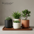 Broadwaybe™ Modern Planter Trio with Wood Display Tray